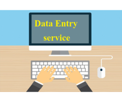 Data Entry Projects Outsourcing Services | Data entry work – AscentBPO