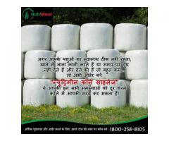 Silage Agro Private Limited