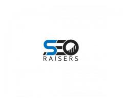 SEORAISERS - SEO Company in Chandigarh