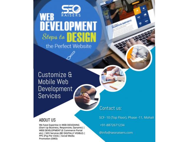 SEORAISERS - SEO Company in Chandigarh