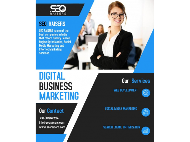 SEORAISERS - SEO Company in Chandigarh